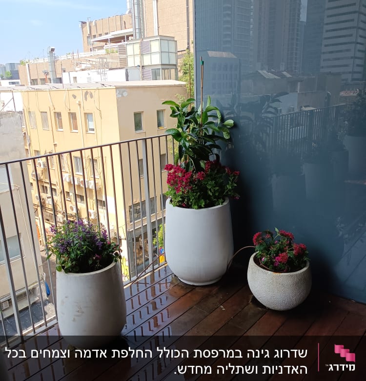 עציצים עם פרחים על מרפסת עץ רטובה